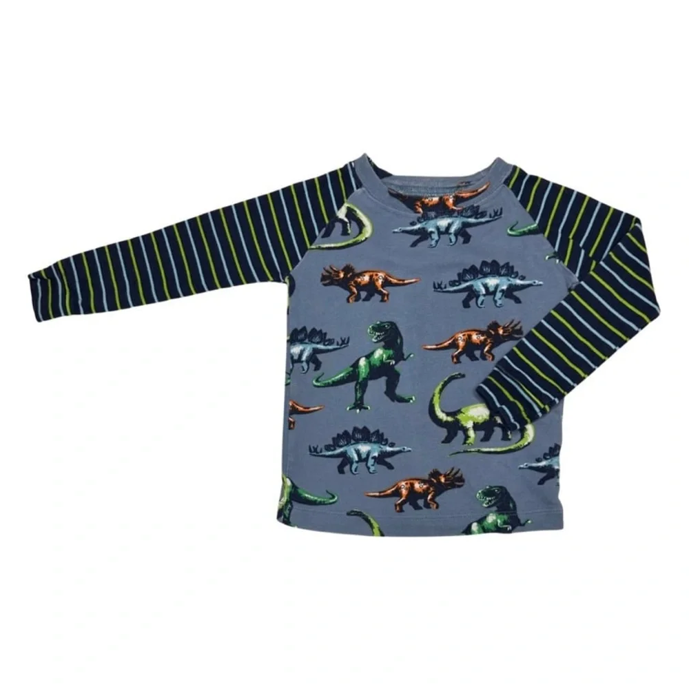 Hatley‎ Painted Dinos Organic Cotton Raglan Pajama Set